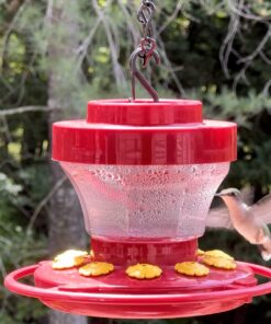 First Nature 993091-546 16 oz. Hummingbird Flower Feeder 30 71c4hDsuWhL