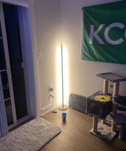 Govee RGBIC Floor Lamp, LED Corner Lamp Works with Alexa, Smart Modern Floor Lamp with Music Sync and 16 Million DIY Colors, Color Changing Standing Lamp for Christmas Bedroom Living Room Black 26 71c6EO zEvL