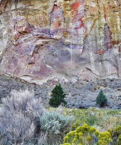 Panasonic LUMIX G7 4K Mirrorless Camera, with 14-140mm Power O.I.S. Lens, 16 Megapixels, 3 Inch Touch LCD, DMC-G7HK (USA BLACK) 43 71c6FdCdWNL 1