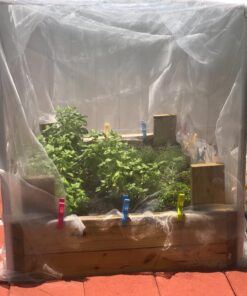 ESFUN 16 Pack Beach Towel Clips Holder for Pool Chairs on Cruise-Jumbo Size,Plastic Clothes Pegs Hanging Clip Clamps to Keep Your Towel from Blowing Away,Fashion Bright Color 16pcs 39 71c7hsY5fdL