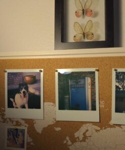 Polaroid Originals Color Film for 600 (4670) 43 71c88iF7AfL