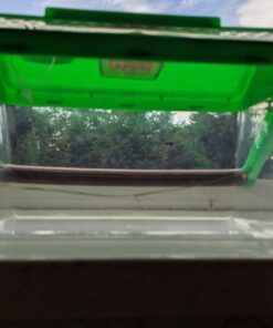 Nature Bound NB508 Bug Catcher Vacuum with Light Up Critter Habitat Case for Backyard Exploration - Complete kit for Kids Vacuum with Case 42 71cAKergyeL