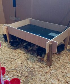 Cozy Products CL Cozy Safe Chicken Coop Heater 200 Watts Safer Than Brooder Lamps, One Size, Black 26 71cDcks9ssL