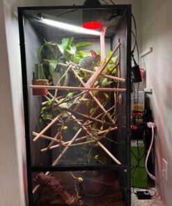 Zoo Med ReptiBreeze Open Air Screen Cage, Extra Large, 24 x 24 x 48-Inches 50 71cJ6ssuSPL