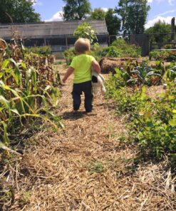 Jellycat Bashful Black and Cream Puppy Stuffed Animal, Medium, 12 inches Medium - 12" 28 71cJfDGuaBL