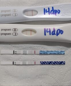 Progesterone Cream for Women 2000mg | Bioidentical From Wild Yam, Dermatologist-Tested | For Menopause & Menstrual Support | Micronized USP, Paraben-Free & Soy-Free Topical ProgestoLife (96 Servings) Progesterone Cream 42 71cMCChR iL 1