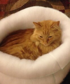 K. T. Manufacturing Mysterious Kuddle Kup Cat Bed, White 22 71cMrWyOuL