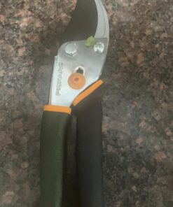 Fiskars Bypass Pruning Shears 5/8” Garden Clippers - Plant Cutting Scissors with Sharp Precision-Ground Steel Blade Bypass Pruner 28 71cOdAqqccL
