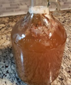 FastRack 1 gal Glass Wine Fermenter, INCLUDES Rubber Stopper and Twin Bubble Airlock, Multicolor 1 Count (Pack of 1) 28 71cQ2oV6xhL