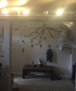 Fun World Costumes Spider Web Decoration Standard 29 71cR2HDm4GL