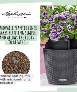 Lechuza 15190 Nido Cottage-All-In-One, White, 11 x 9 inch Self Watering Planter, D27 H23 cm 14 71cSksG4bJL