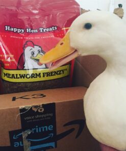 Happy Hen Treats Mealworm Frenzy, 30-Ounce 1.87 lb 18 71cUBvHogIL