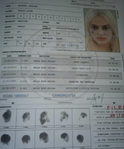 Suicide Squad: Behind the Scenes with the Worst Heroes Ever 27 71cUfDw837L