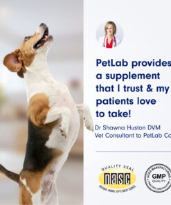 Petlab Co. Dental Sticks – Dog Dental Chews -Target Plaque & Tartar Build-Up at The Source - Designed to Maintain Your Dog’s Oral Health, Keep Breath Fresh and Provide Digestive Help (24 Sticks) 24 Count (Pack of 1) 8 71cVASEjeHL 2