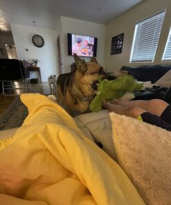 KONG Cozie Ali Alligator XL X-Large Standard Packaging 36 71cVSUJorEL