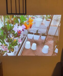 Projector with WiFi and Bluetooth, ASAKUKI Native 1080P 4K Support 450 ANSI Outdoor Movie Proyector, Indoor Home Theater w/ Portable Bag, Compatible w/ Sticks/Phone/iphone/Laptop 56 71cYaiIChZL