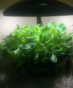 AeroGarden Salad Greens Mix Seed Pod Kit, 7 pod 44 71caaIDr aL