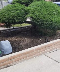 Emsco Group Landscape Rock – Natural Sandstone Appearance – Small – Lightweight – Easy to Install 35 71ccqjuSV5L