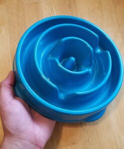Outward Hound Fun Feeder Slo Bowl, Slow Feeder Dog Bowl, Medium/Mini, Turquoise 31 71ceMtZNw7L 1