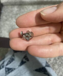 Amazon Basics Modern 5-Tier Ladder Bookshelf Organizer, Solid Rubberwood Frame, Espresso Finish, 14 D x 24.8 W x 70.1 H in 35 71ceScXGEAL