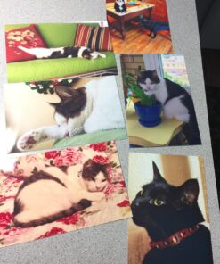 HP 62XL Tri-color High-yield Ink | Works with HP ENVY 5540, 5640, 5660, 7640 Series, HP OfficeJet 5740, 8040 Series, HP OfficeJet Mobile 200, 250 Series | Eligible for Instant Ink | C2P07AN 21 71cegtN6ZXL