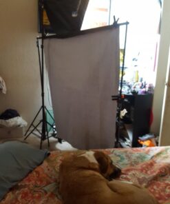 LimoStudio Photo Video Studio 10Ft Adjustable Muslin Background Backdrop Support System Stand, AGG1112 81 71cenkgCcJL