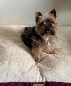 Armarkat Pet Bed Mat 28 by 22 by 5, M02HJH/MB-Medium, Ivory 28.0"L x 22.0"W x 5.0"Th 31 71cfFLb3Y2L