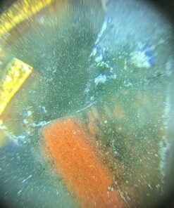 Carson MicroMini 20x LED Lighted Pocket Microscope with Built-In UV and LED Flashlight - Blue 26 71cfLU4nd9L