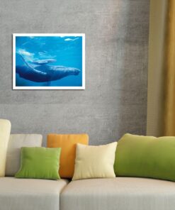 Mother and Calf - Hawaiian Humpback Whales (Koholā) - From an Original Color Photograph by Michael S. Nolan - Master Art Print (Unframed) 13in x 19in 13 x 19 in Poster Print 7 71chCu8VyL