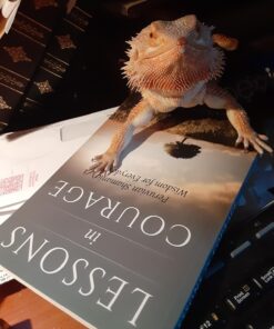 Alternative view of Lessons in Courage: Peruvian Shamanic Wisdom for Everyday Life