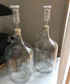 FastRack Stopper/Airlock 1 Gallon Glass Fermenter/Jug, Clear 1 Count (Pack of 1) 31 71chFHTjfdL