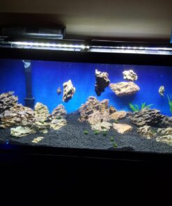 CaribSea Eco-Complete 20-Pound Planted Aquarium, Black 20 POUNDS 39 71ci5nQvQ6L