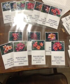 Scotch Thermal Laminating Pouches Premium Quality, 5 Mil Thick for Extra Protection, 20 Pack Photo Size Laminating Sheets, Our Most Durable Lamination Pouch, 3.7 x 5.2 inches, Clear (TP5902-20) 3x5 Photo 17 71cjQ2o01pL