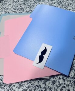 Mr. Pen- Pastel Poly File Folders, 1/3 Cut Tab, 6 Pack, Letter Size, Colored Letter Office Supplies File Folders Pastel Colors 6 per Pack 41 71ckrJqoL1L