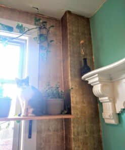 ROSEROSA Peel and Stick PVC Metallic Self-Adhesive Wallpaper Covering Counter Top Shelf Liner Lime Gold (NI941 : 2.00 Feet X 6.56 Feet) 44 71ckzPf60L