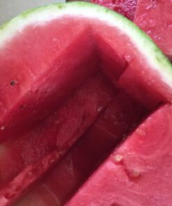 BCI Watermelon Slicer Corer Cutter Knife Tongs with Silicon Handle and Two Headed Melon Baller Set 61 71cmbCAsXpL