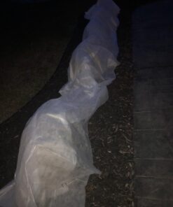 Plant Covers Freeze Protection 0.9oz 8Ft x 24Ft Rectangle Plant Cover for Cold Protection,Season Extension 42 71cn5eZs21L