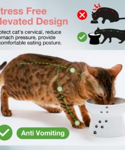 Alternative view of Necoichi Raised Stress Free Cat Food Bowl, Elevated, Backflow Prevention, Dishwasher and Microwave Safe, No.1 Seller in Japan! (Cat, Regular)