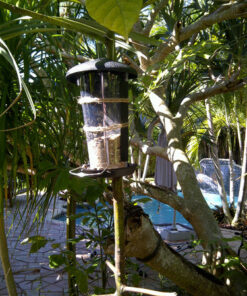 Perky-Pet 101-5 Wild Bird Feeder, Hammered Copper Color Versatile 22 71coWGpgKAL