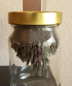 12 oz Fine Iron Filings Magnetic Iron Powder for Magnet Education and School Projects - Discover The World Of Magnetics & See Magnetic Lines Of This Unseen Force & More (One Pack) 1 Piece 17 71css2ZSghL