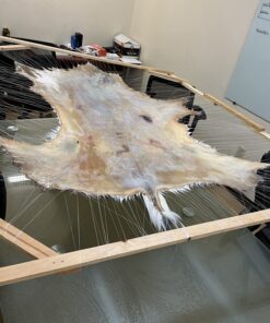 Knoblochs Deer Hunter's & Trapper's Hide & Fur Tanning Formula Multi Pack 1 35 71ctqF1H6WL