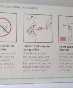 Vitagene DNA Test Kit: Health + Ancestry Personal Genetic Reports Ancestry + Health Personal Genetic Reports 48 71ctr3YIe4L