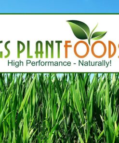 Root Ruckus Compost Fertilizer Organic - Turbo Charged Compost for Plants (32 oz) - Humic Acid & Sea Kelp Nutritional Root Supplement for Lawns, Soil, Shrubs & Vegetables 1 Quart 20 71cudXKDAWL