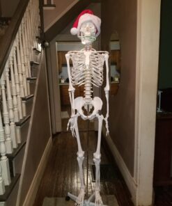 Giantex B010L18XEW Life Size 70.8" Human Anatomical Anatomy Skeleton Medical Model + Stand 42 71cvWpHLfwL