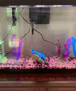 IP65, 12V Waterproof Flexible LED Strip Light(Power Cord not Included), 16.4ft/5m Cuttable LED Light Strips, 300 Units 3528 LEDs Lighting String, LED Tape(Blue) Power Adapter not Included 1*16.4ft 3528 Blue 36 71cwxiWFy7L