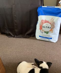 NUTRO ULTRA Adult Large Breed High Protein Natural Dry Dog Food with a Trio of Proteins from Chicken Lamb and Salmon, 30 lb. Bag 30 Pound (Pack of 1) 44 71cyQWkHbIL