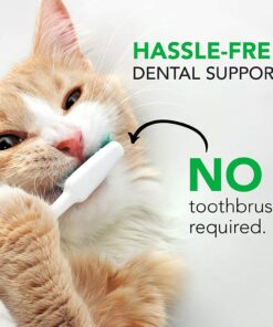 VETRISCIENCE Perio Support Teeth Cleaning Dental Powder for Dogs and Cats, Up to 192 Servings – Clinically Proven to Reduce Plaque and Tartar Perio Powder 21 71d Km9tC1L