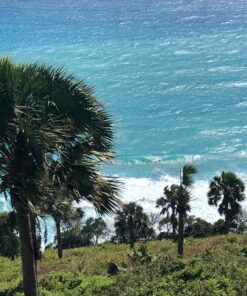 Trupow 1/10HP 330GPH 115-Volt Mini Portable Electric Utility Sump Transfer Water Pump with Water Hose Kit 115V AC 32 71d2 YziDtL