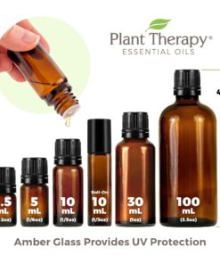 Plant Therapy Worry Free Essential Oil Blend 10 mL (1/3 oz) Calming Relief Blend 100% Pure, Undiluted, Natural Aromatherapy, Therapeutic Grade 0.34 Fl Oz (Pack of 1) 22 71d2OU5iBES