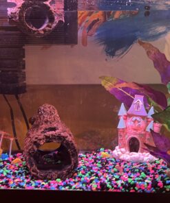 Seachem Stability Fish Tank Stabilizer - For Freshwater and Marine Aquariums, 16.9 Fl Oz (Pack of 1) 34 71d2T8Kg3KL